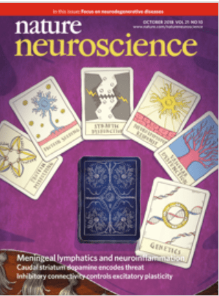 Impulsista Jiruška publikuje v prestižním časopise Nature Neuronscience